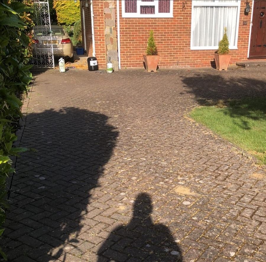 Project 31 before
