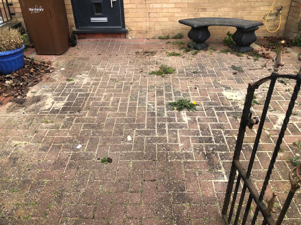 Project 50 before