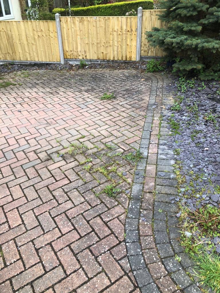 Project 19 before